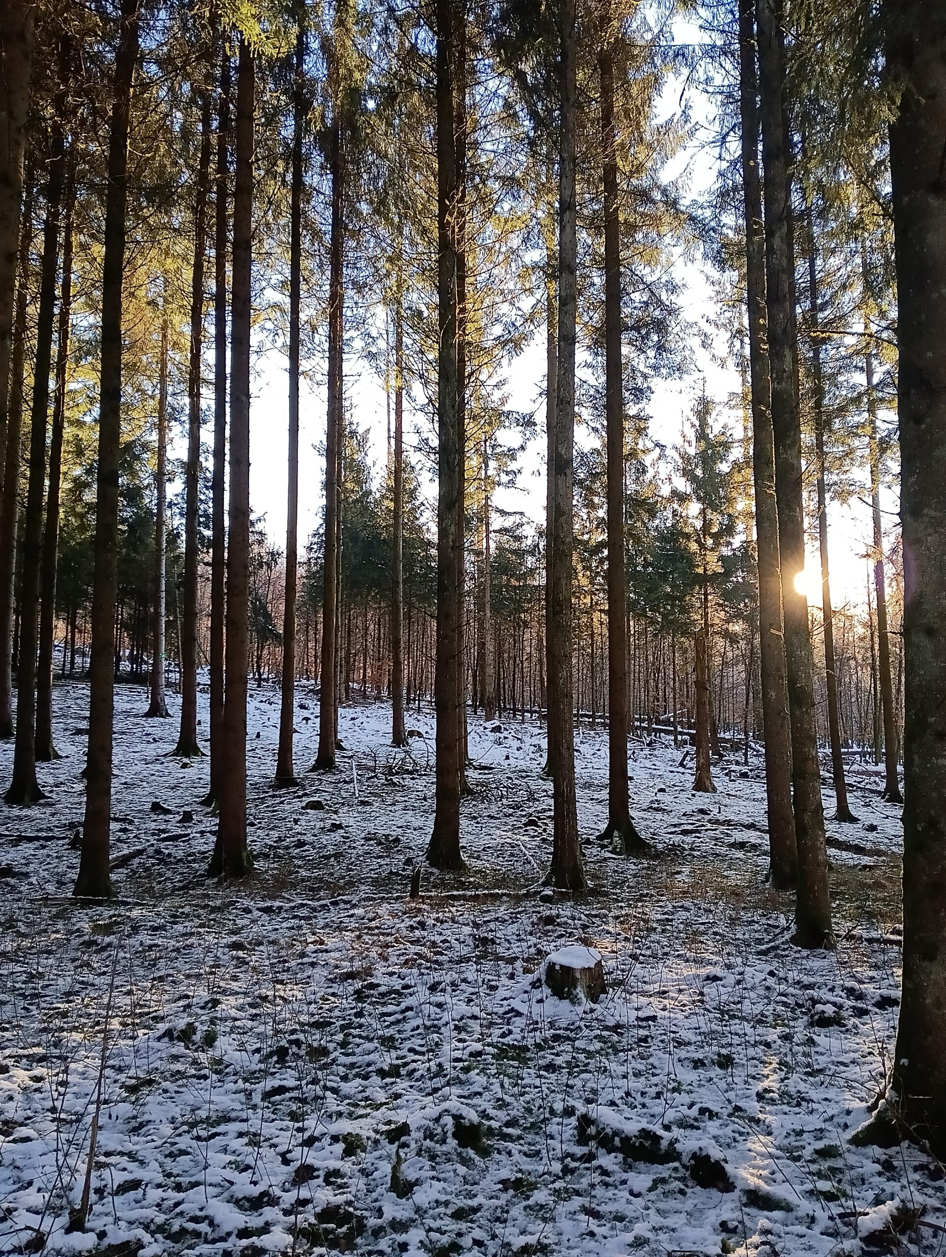 Impression 1